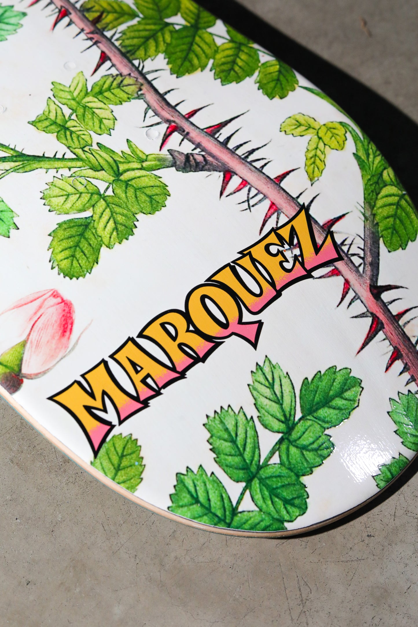 Marquez x Burrito Breath - Skull Boy Deck